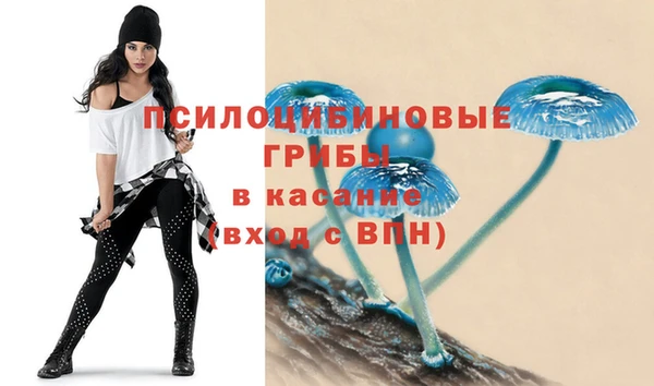 spice Арсеньев