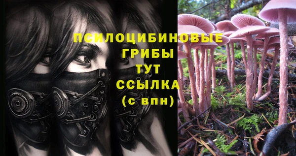 jwh Аркадак