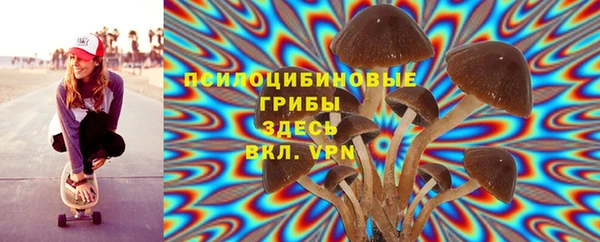 jwh Аркадак