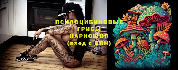 spice Арсеньев