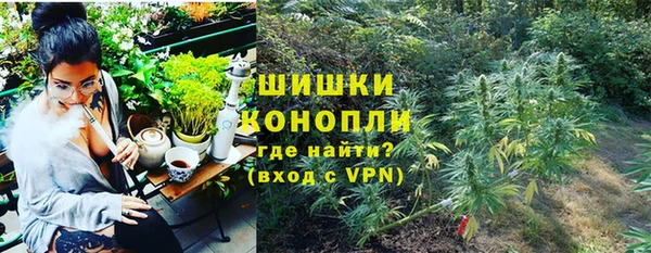 spice Арсеньев