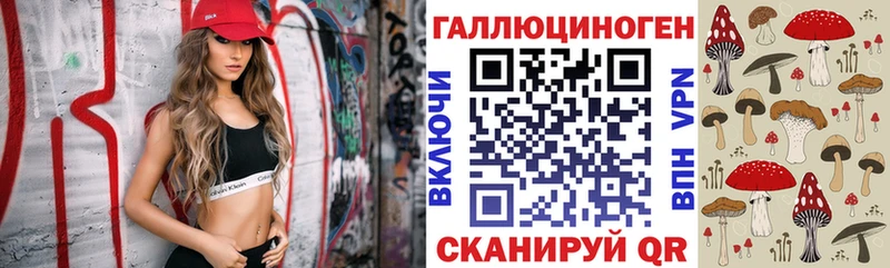 Псилоцибиновые грибы Psilocybine cubensis  Теберда 